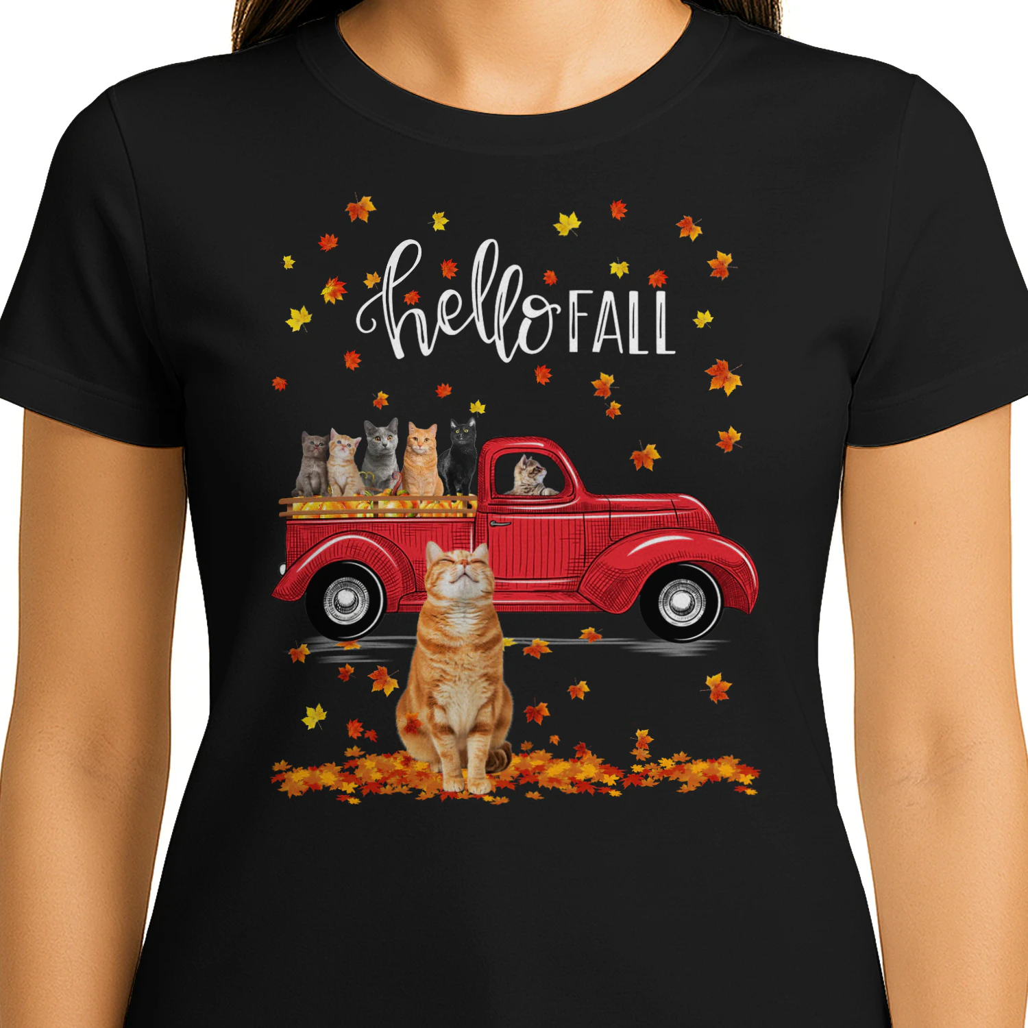 Cat Hello Fall