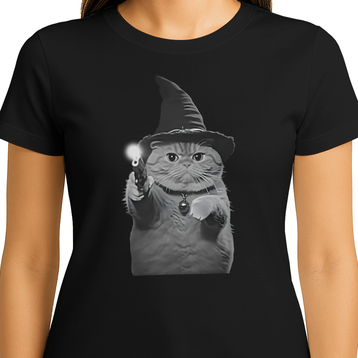 Cat Meme L4