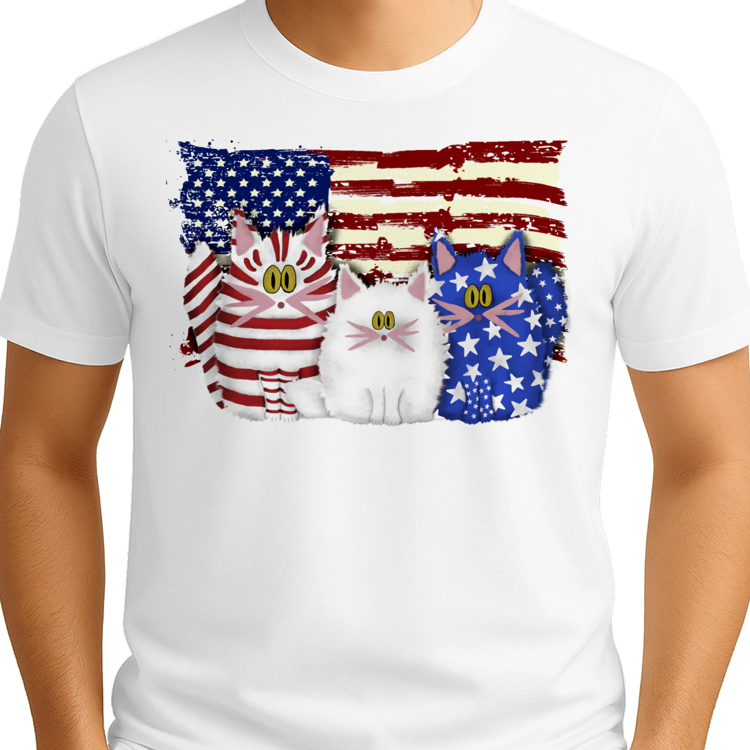 Cat 3 flag us1