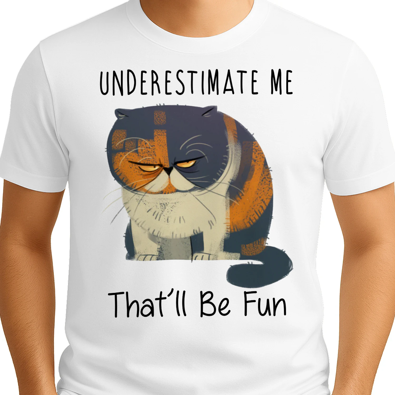 Cat fun1