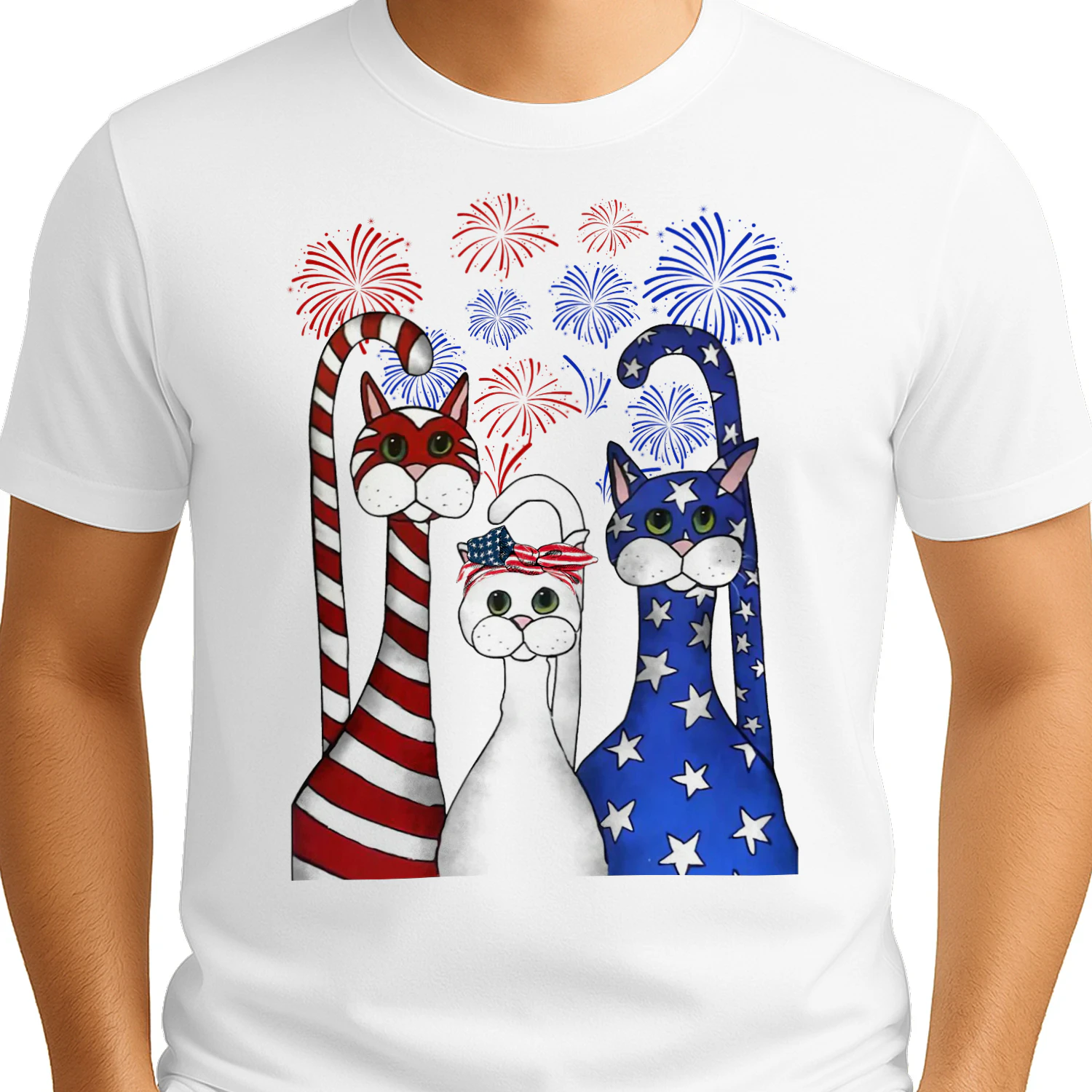 Cat 3 us firework