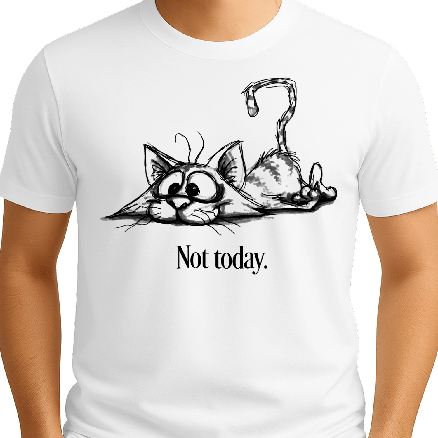 Cat not today3