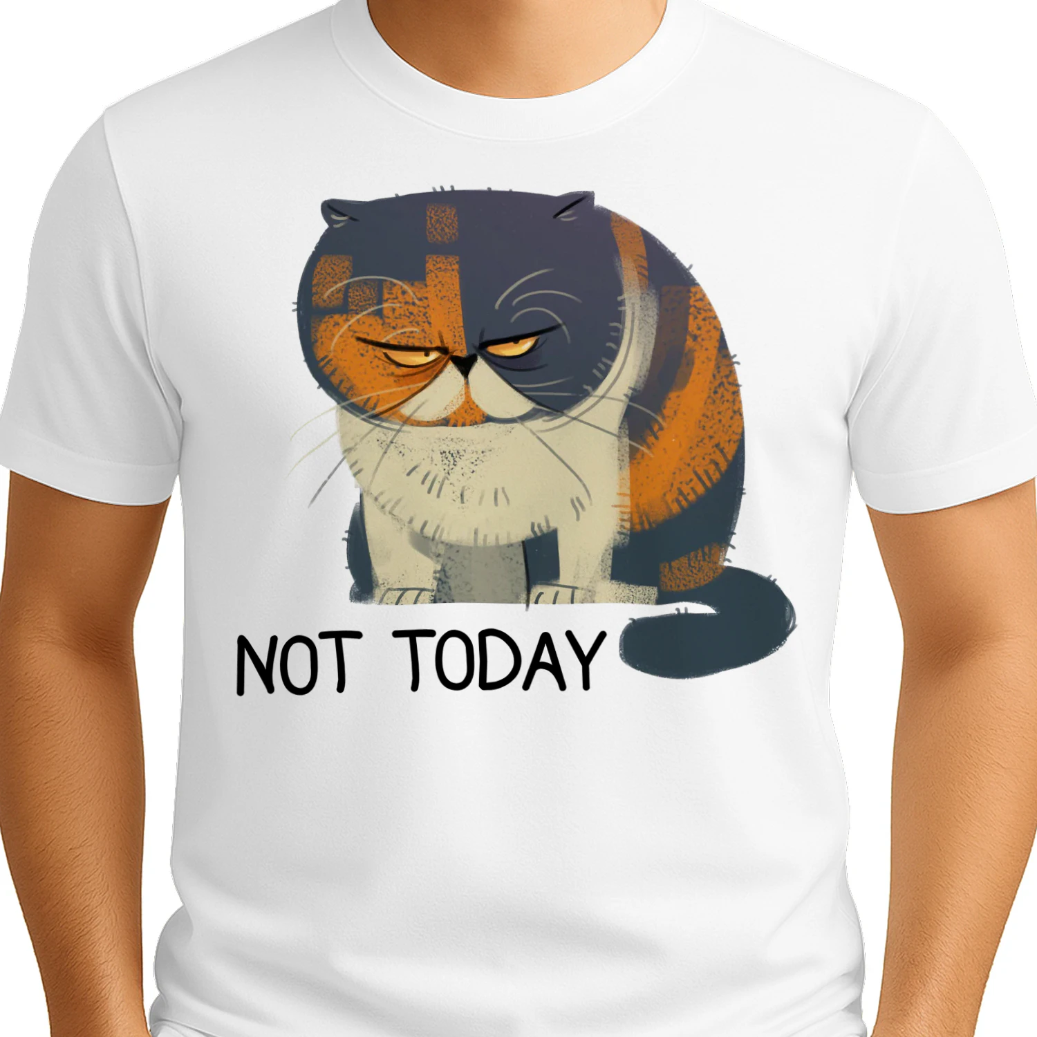 Cat not today