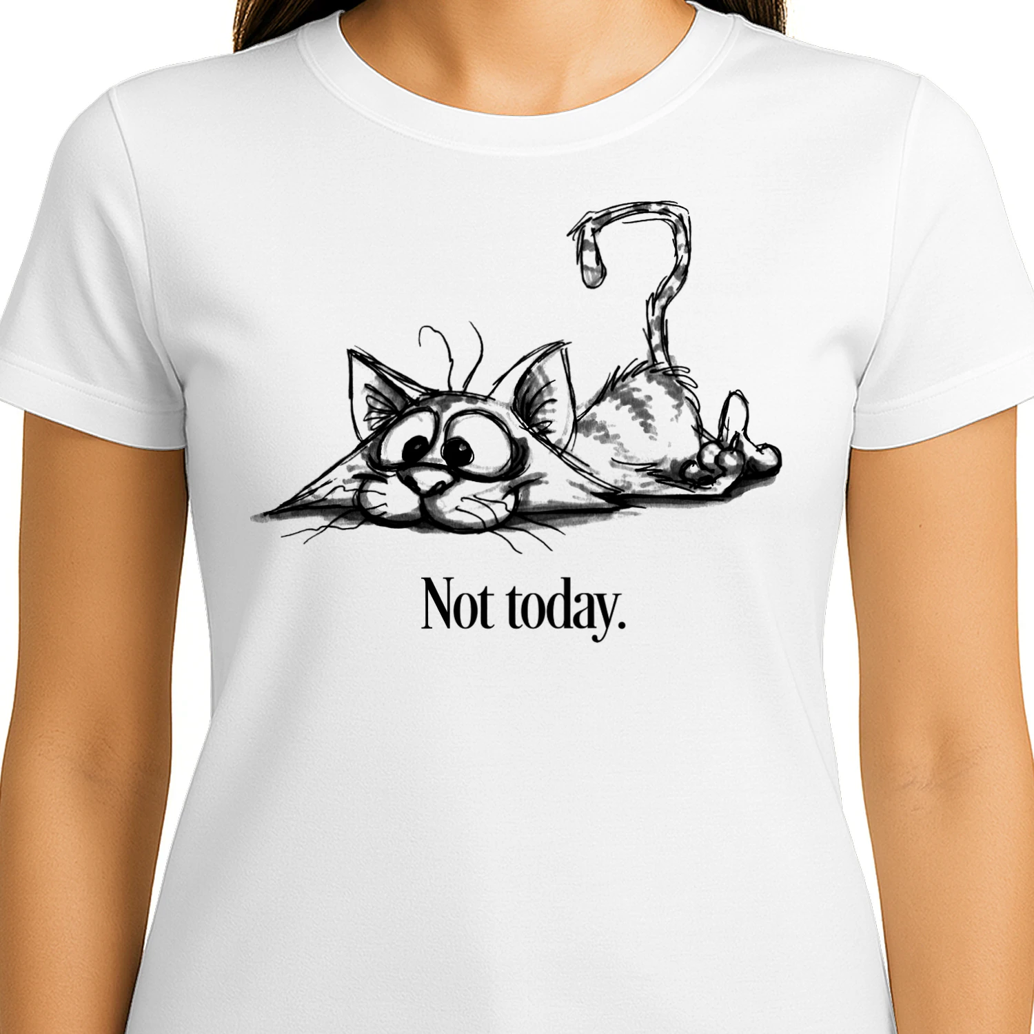 Cat not today3