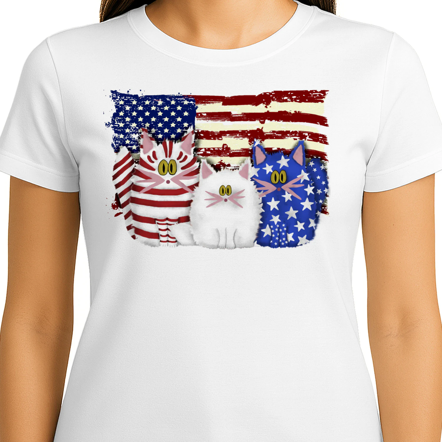 Cat 3 flag us1