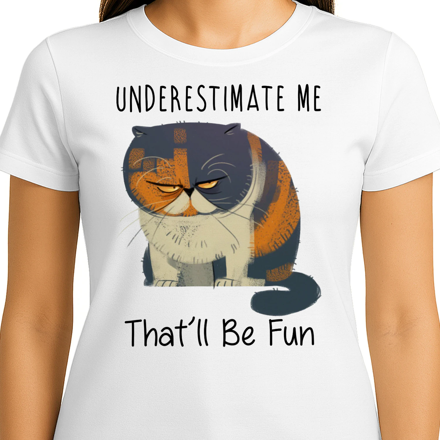 Cat fun1