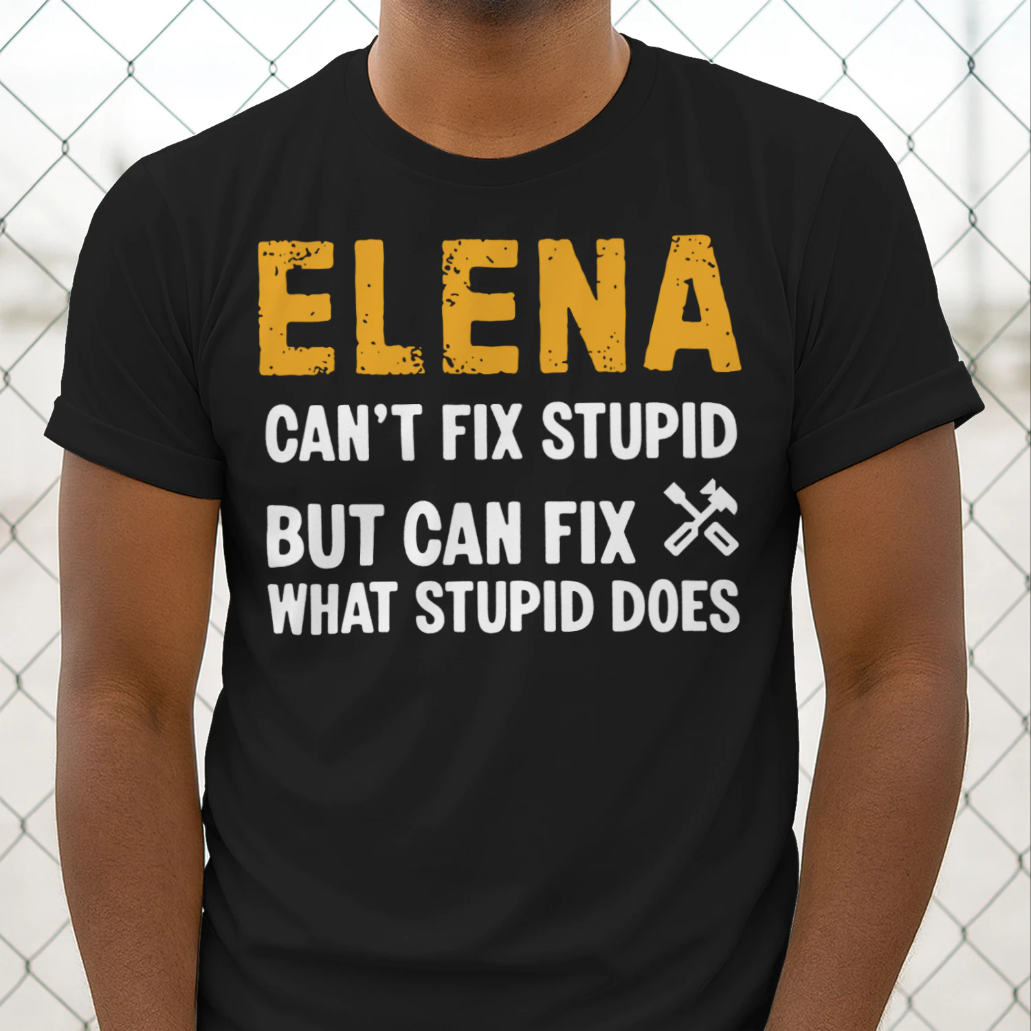 fix2-en elena