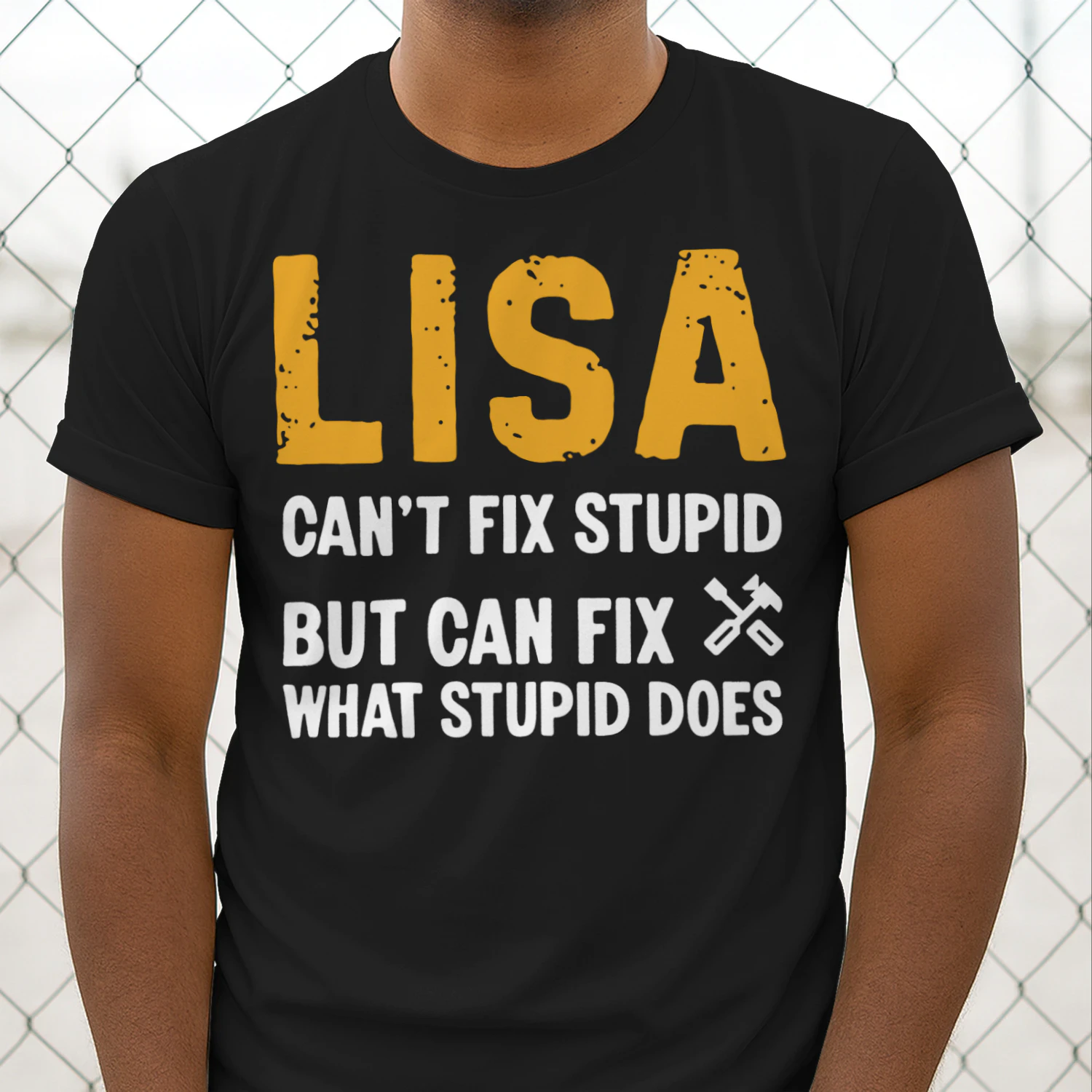 fix2-en lisa