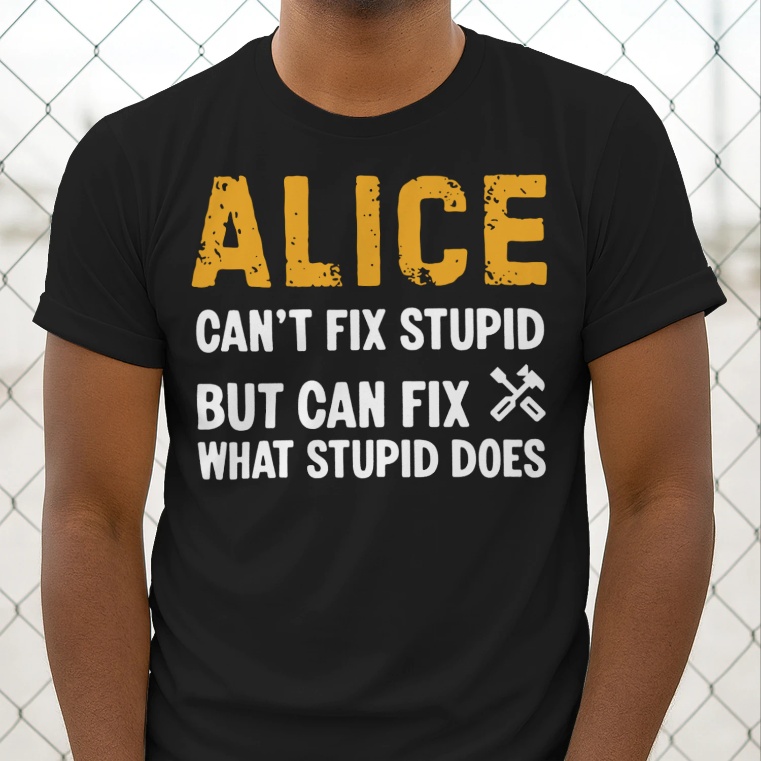 fix2-en alice