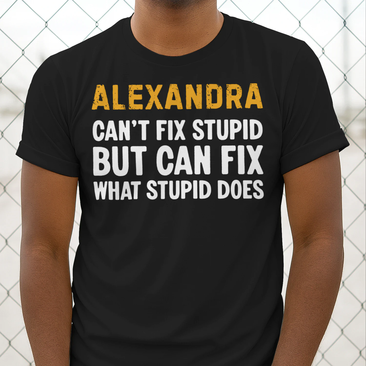fix1-en alexandra