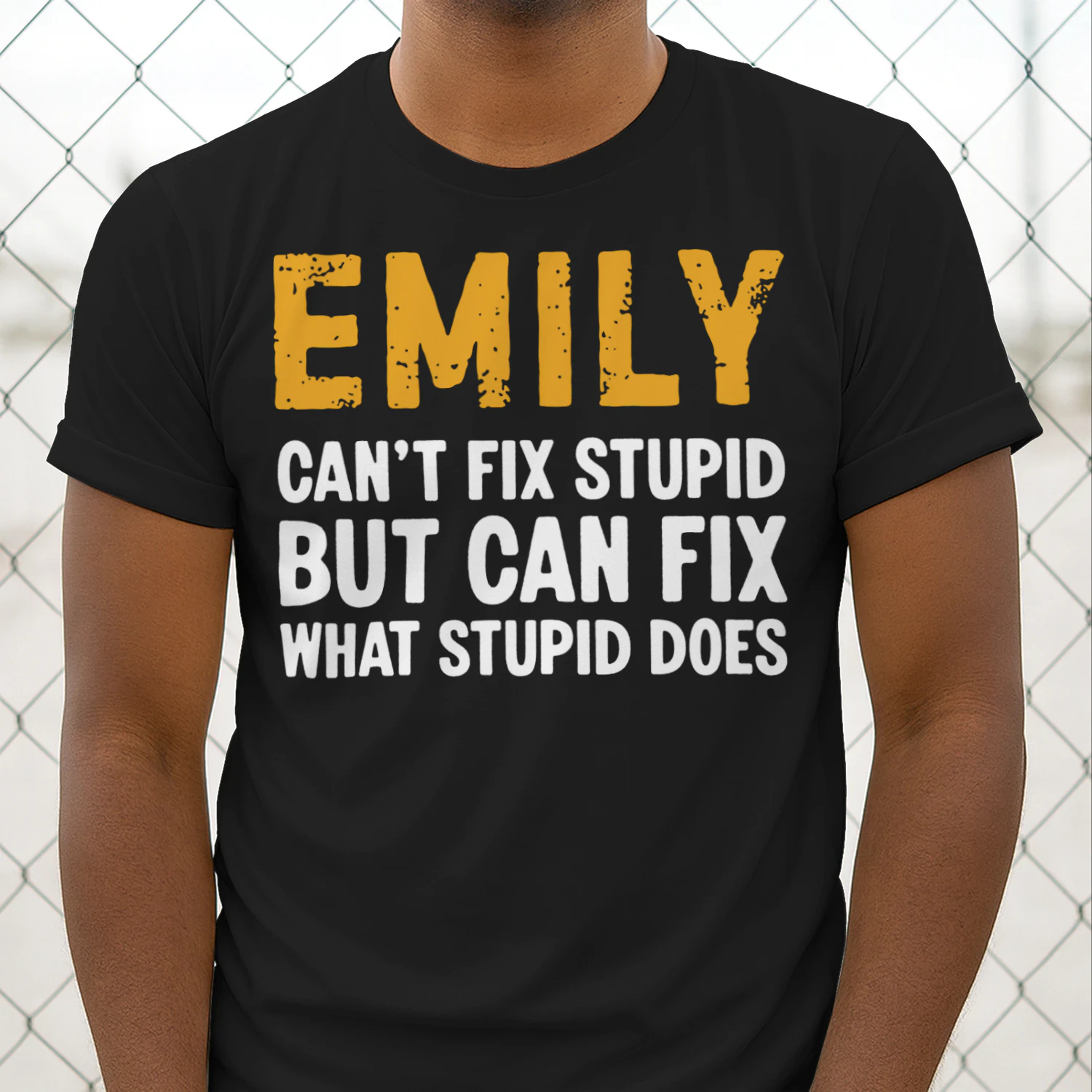 fix1-en emily