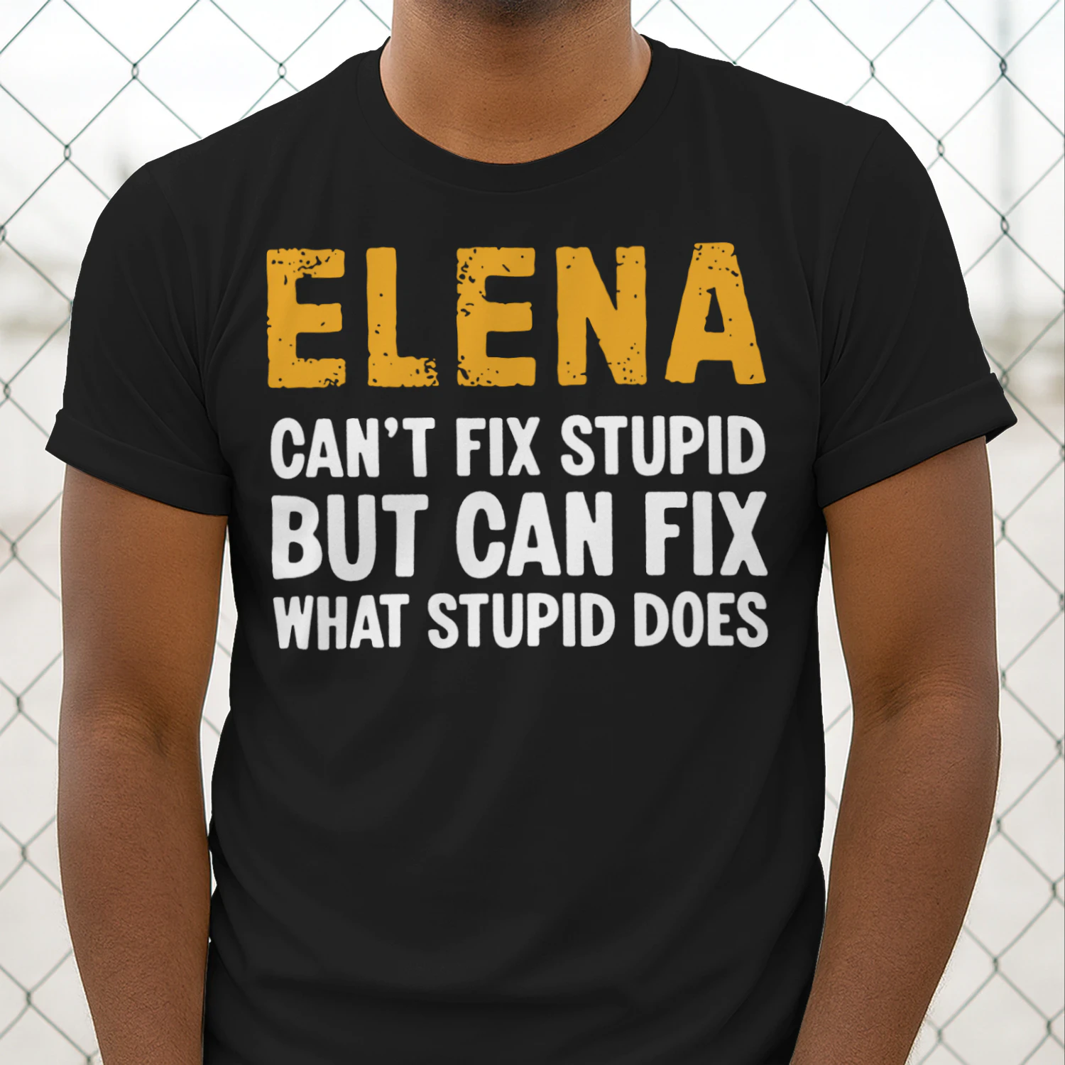 fix1-en elena