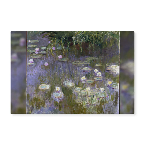 Water Lilies Canvas Prints