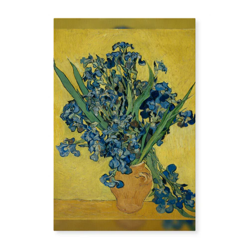 Irises Canvas Prints