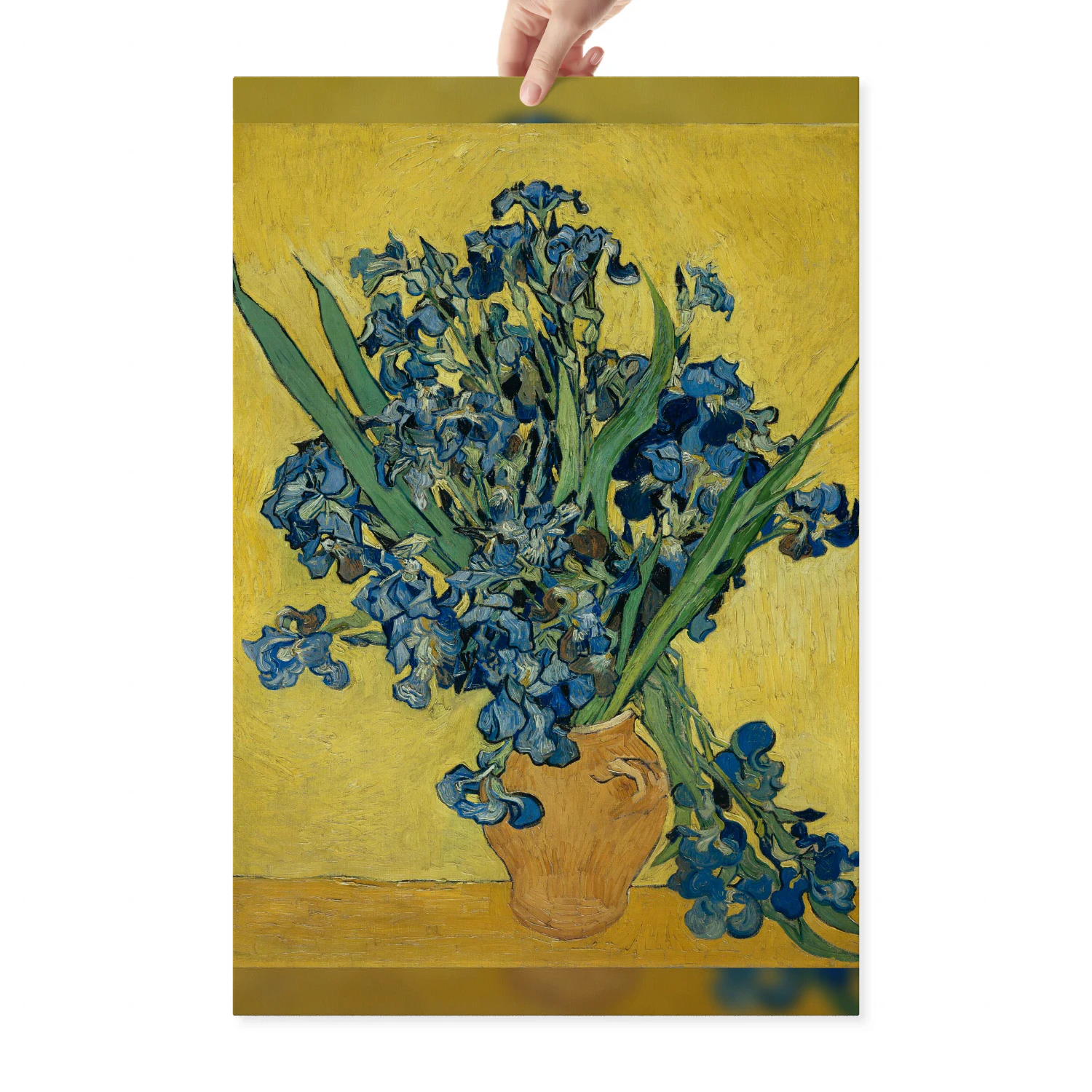 Irises Canvas Print - 20x30