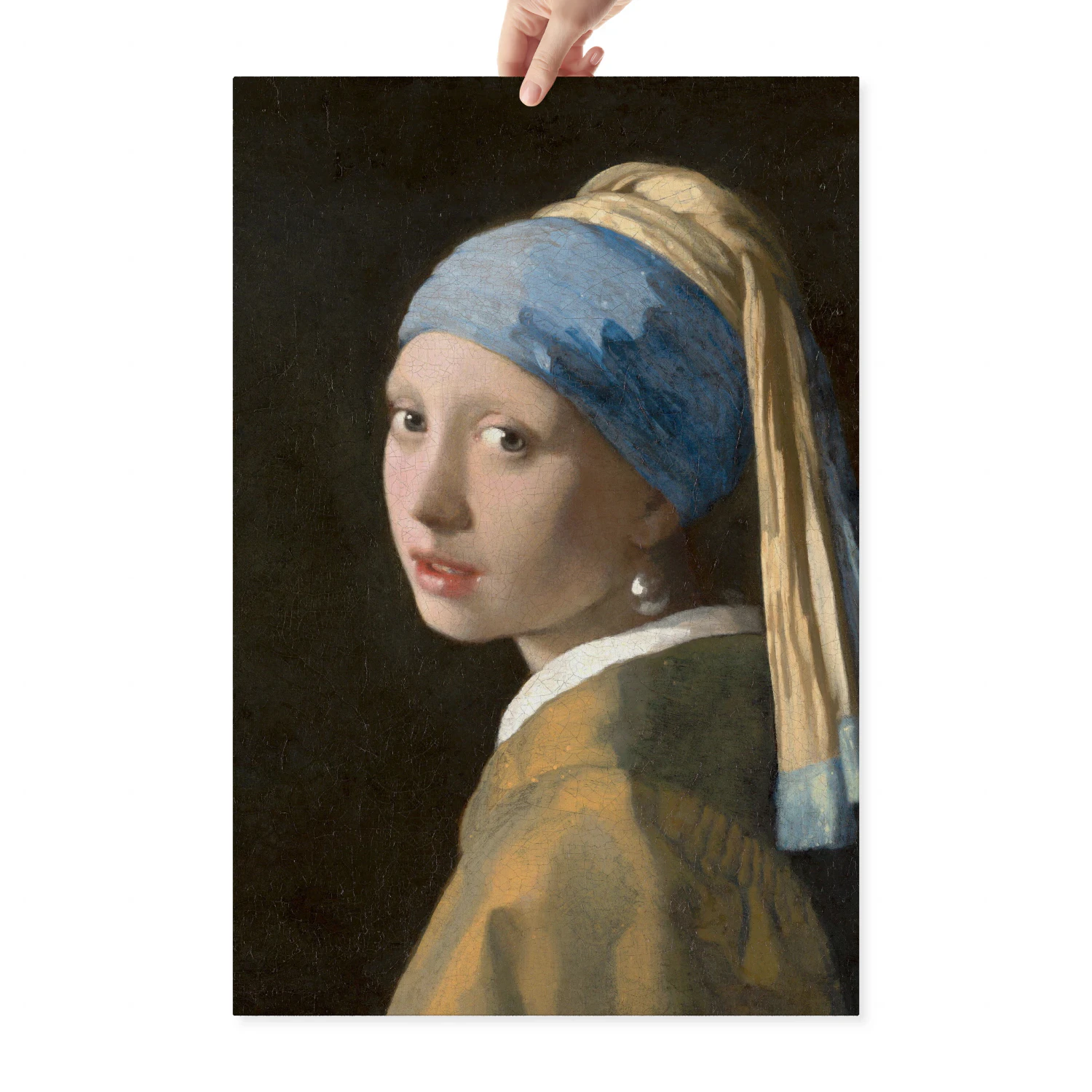 Girl with a Pearl Earring Canvas Print - 20x30