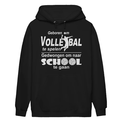 Volleybal-nl-6