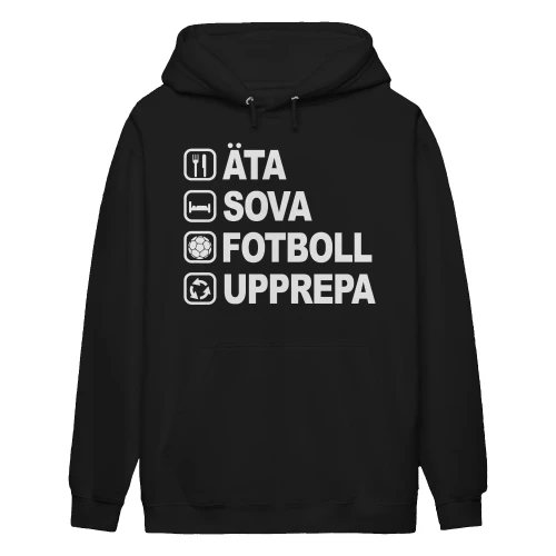 Fotboll-se-1