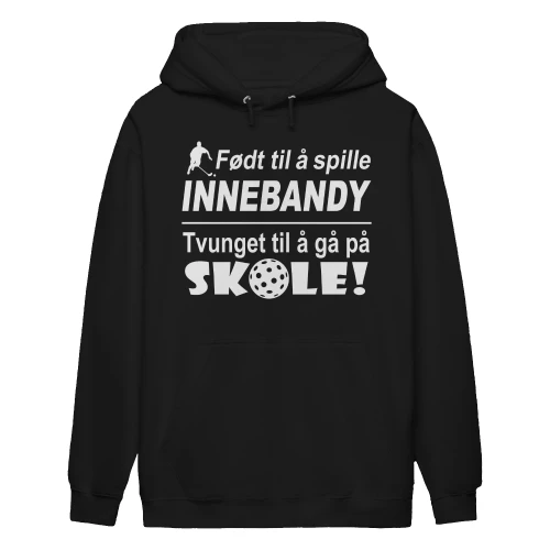 Innebandy-no-1