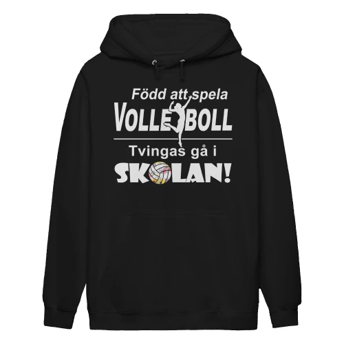 Volleyboll-se-1