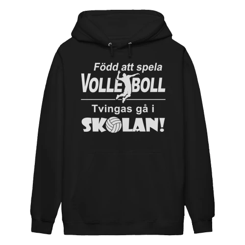 Volleyboll-se-3