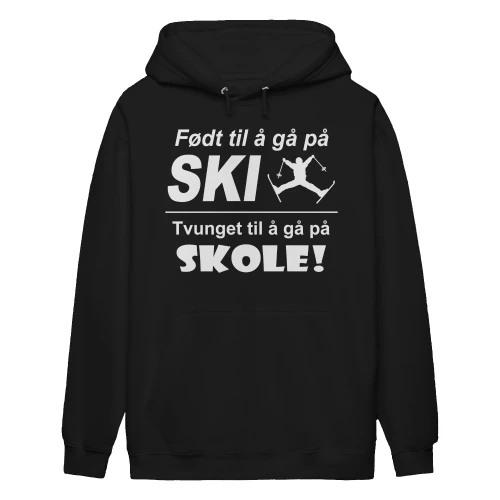 Ski-no-1