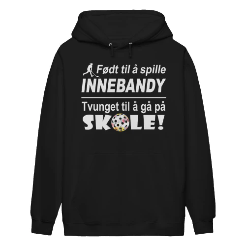 Innebandy-no-6