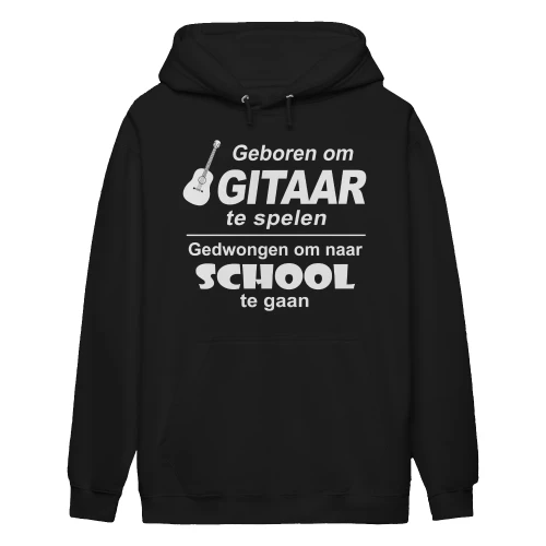 Gitaar-nl-2