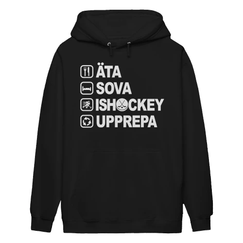 Ishockey-se-2