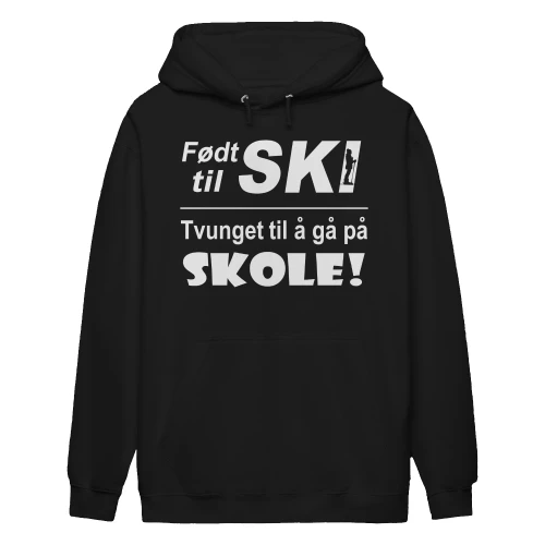 Ski-no-3