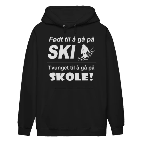 Ski-no-2
