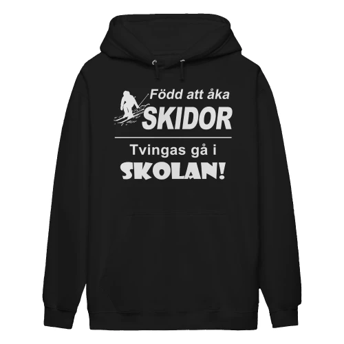 Skidåkning-se-1