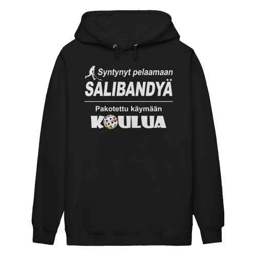 Salibandy-fi-4