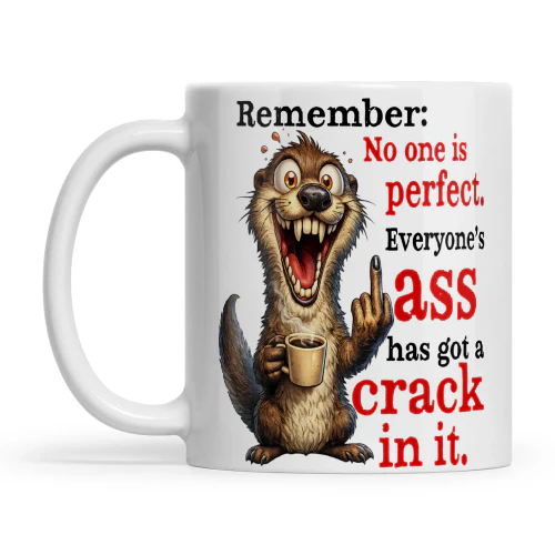 Raccoon Remember No One Is Perfect Everyone's Ass Has Got A Crack In It