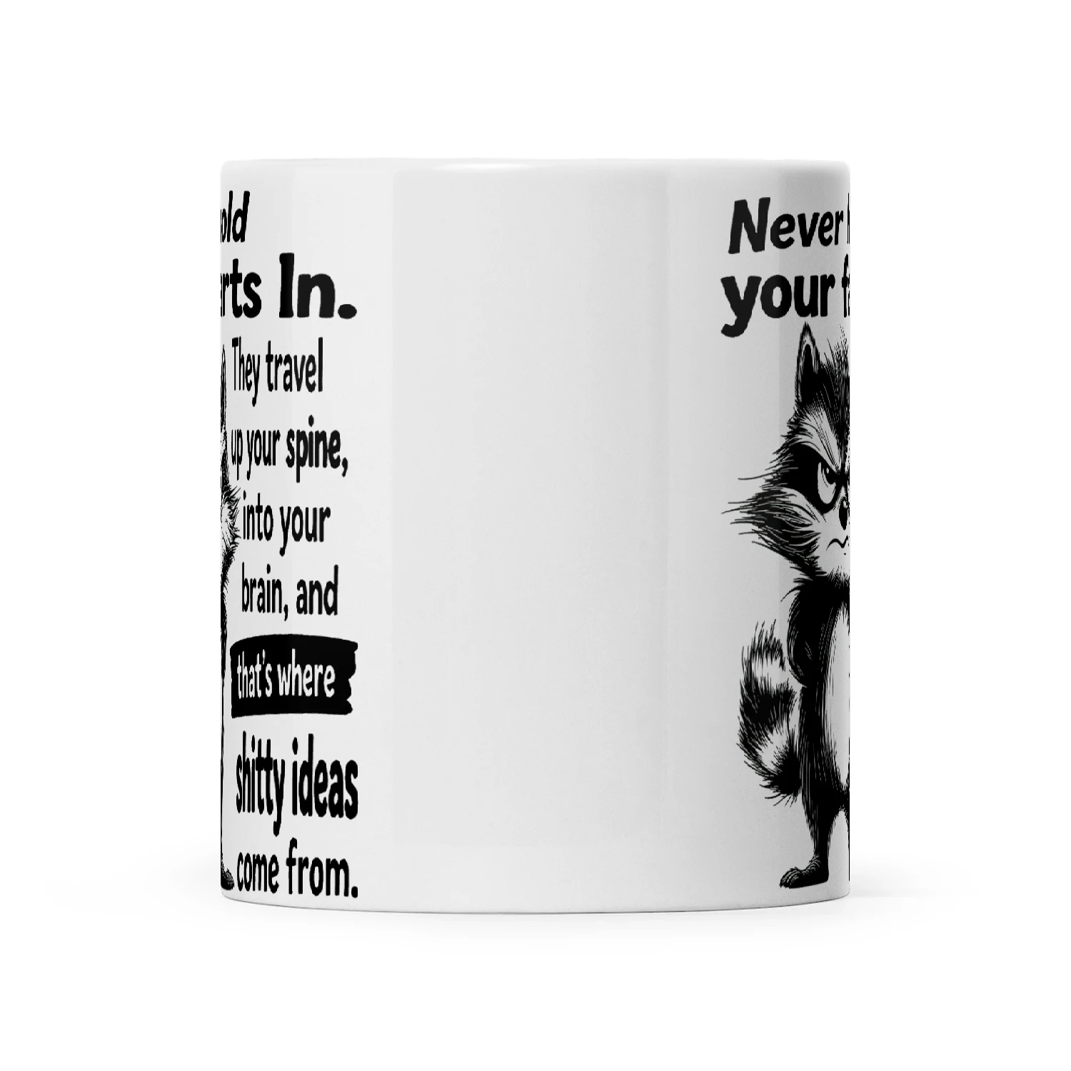 Raccoon Never Hold Your Farts In They Travel Up Your Spine Into Your Brain And That's Where Shitty Ideas Come From