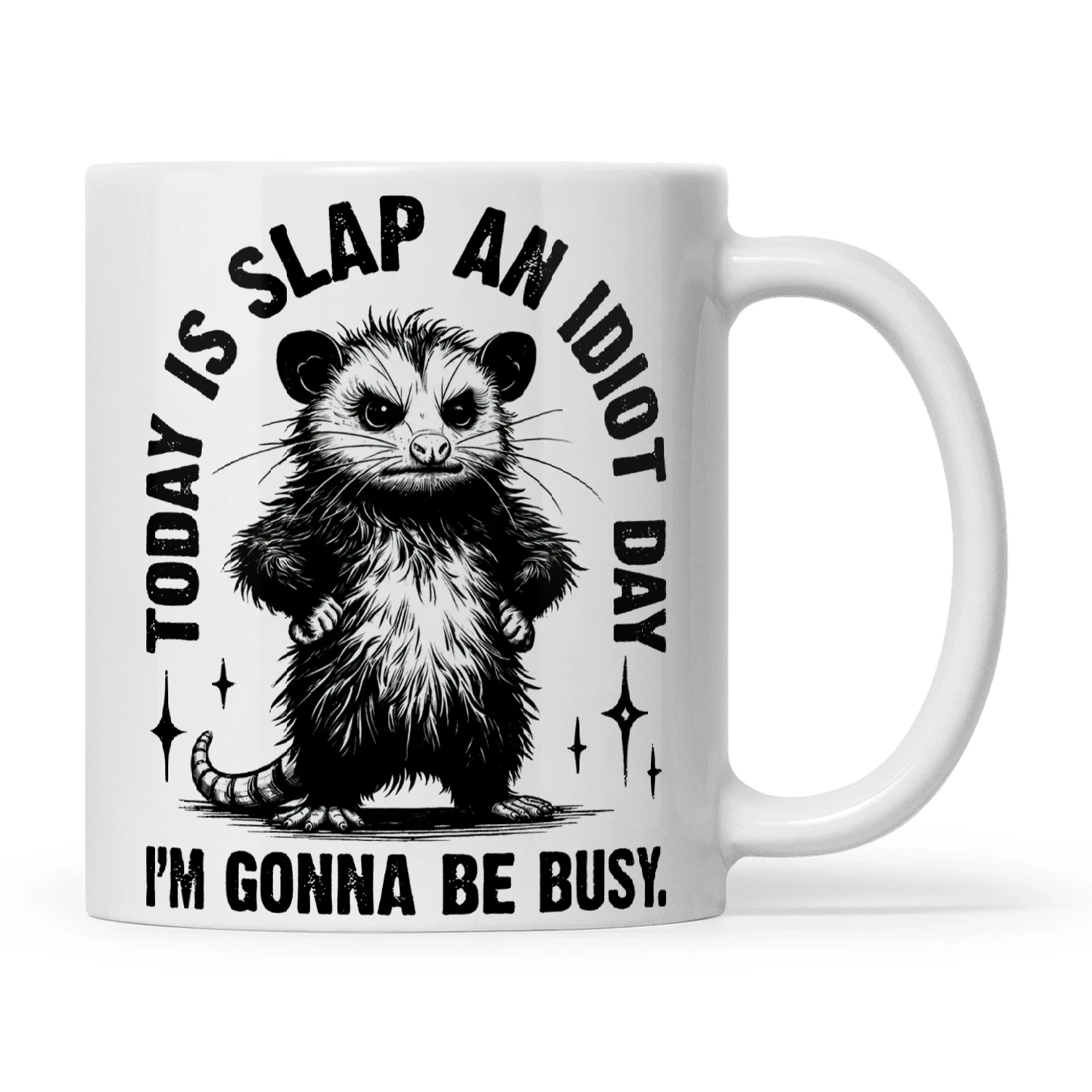 Opossum Today Is Slap An Idiot Day I'm Gonna Be Busy