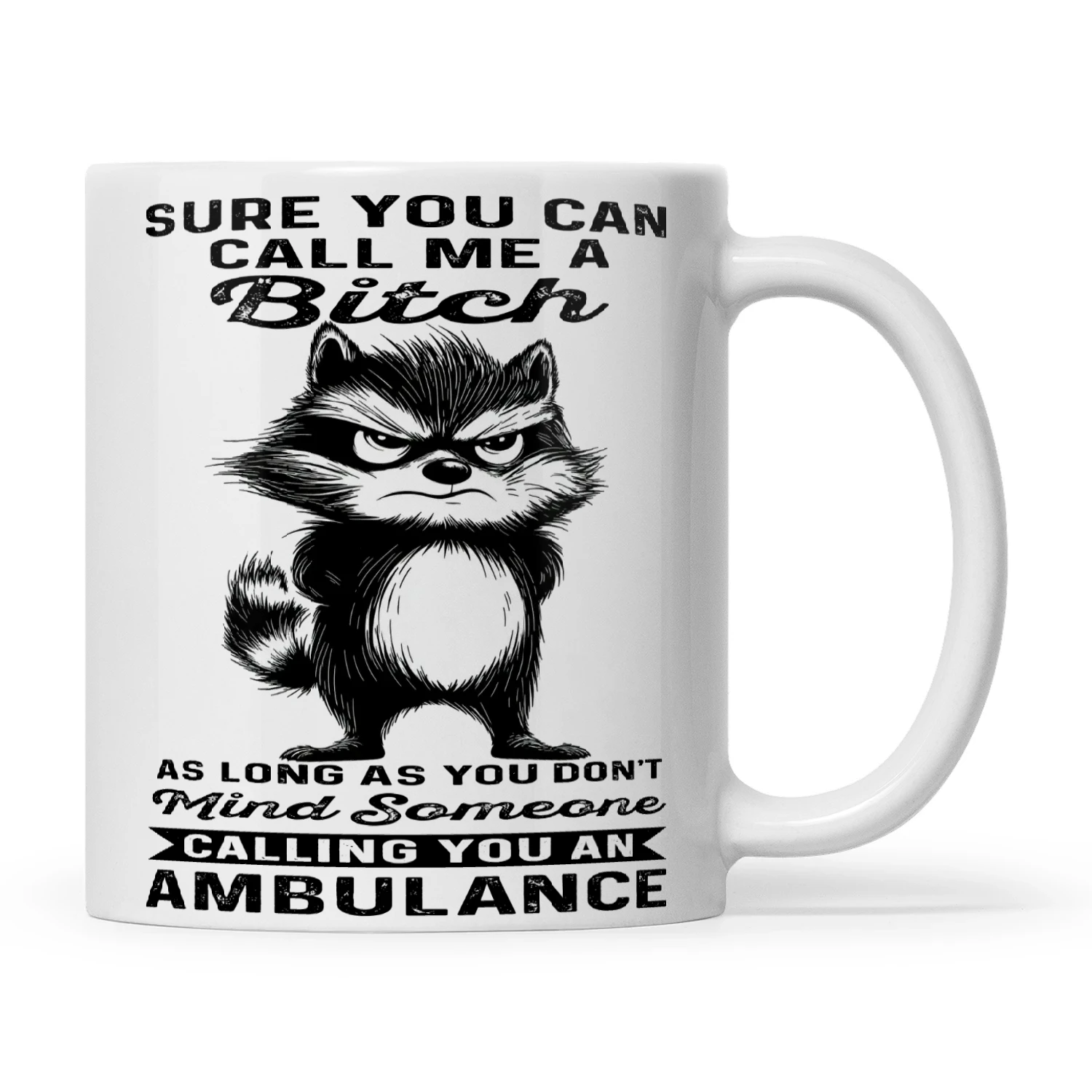 Raccoon Sure You Can Call Me A Bitch As Long As You Don't Mind Someone Calling You An Ambulance