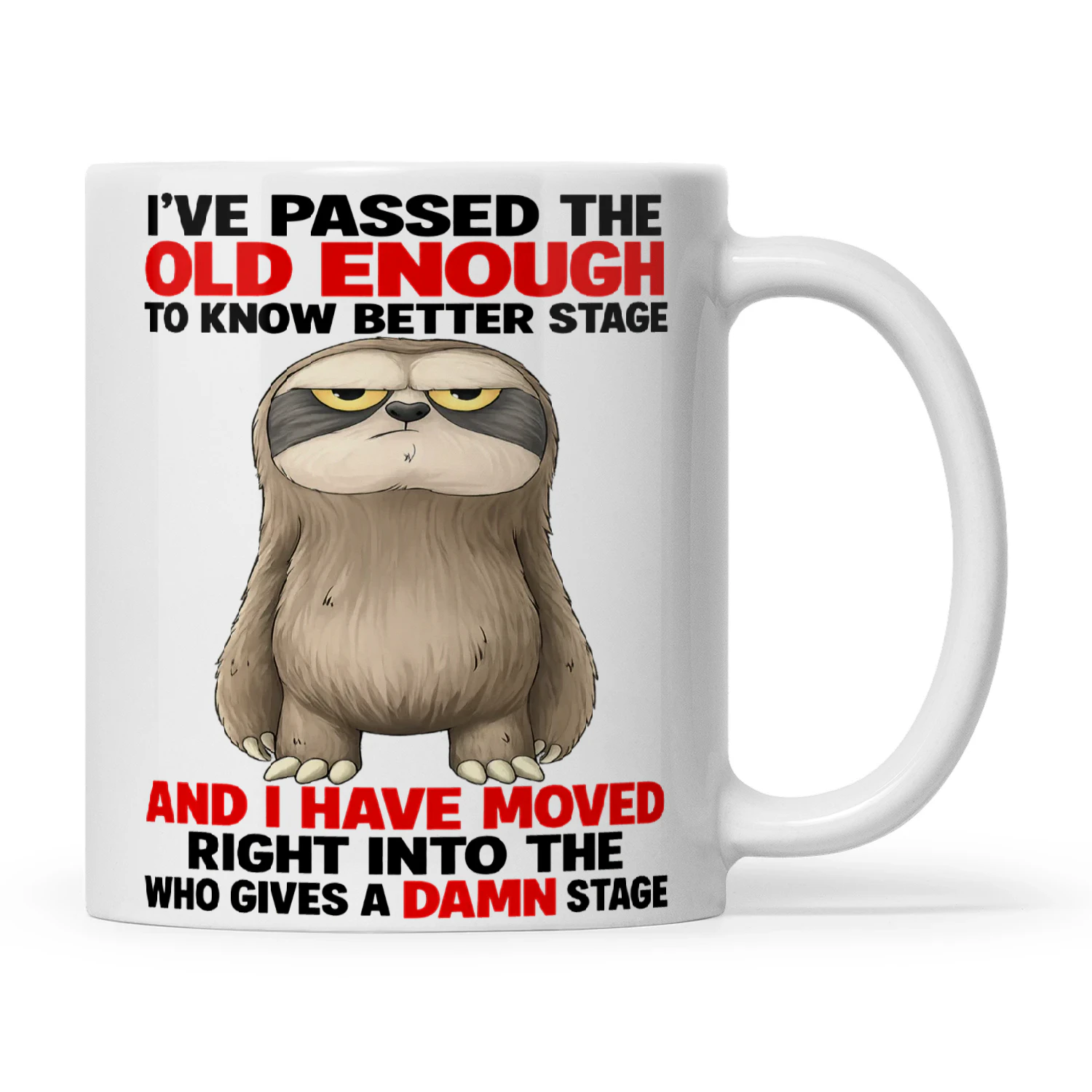 Sloth I've Passed The Old Enough To Know Better Stage And I Have Moved Right Into The Who Gives A Damn Stage