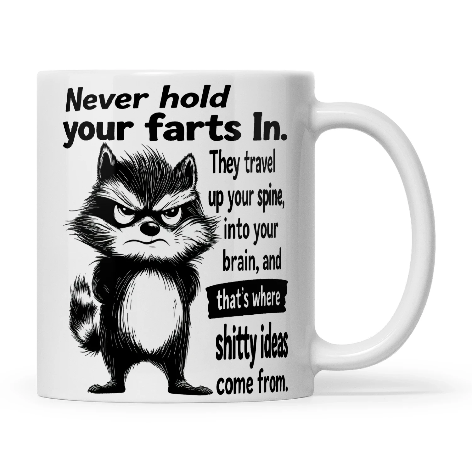 Raccoon Never Hold Your Farts In They Travel Up Your Spine Into Your Brain And That's Where Shitty Ideas Come From