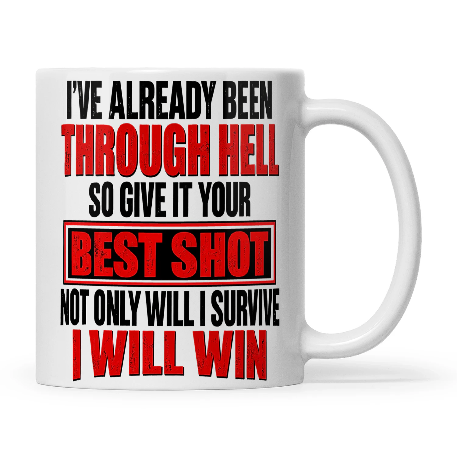 I’ve Already Been Through Hell So Give It Your Best Shot Not Only Will I Survive I Will Win