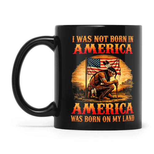 Natives I Was Not Born In America America Was Born On My Land