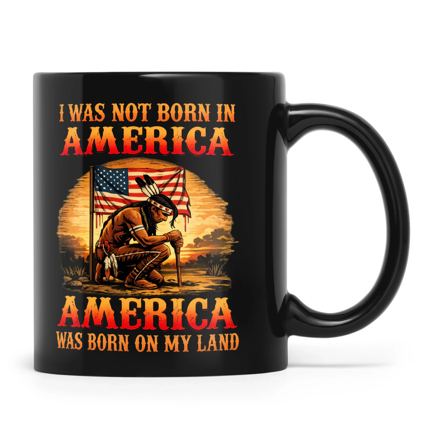 Natives I Was Not Born In America America Was Born On My Land