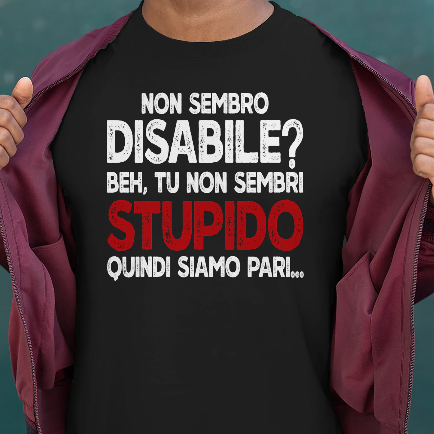 IT-I DON'T LOOK DISABLED, WELL YOU DON'T LOOK STUPID SO THERE YOU GO