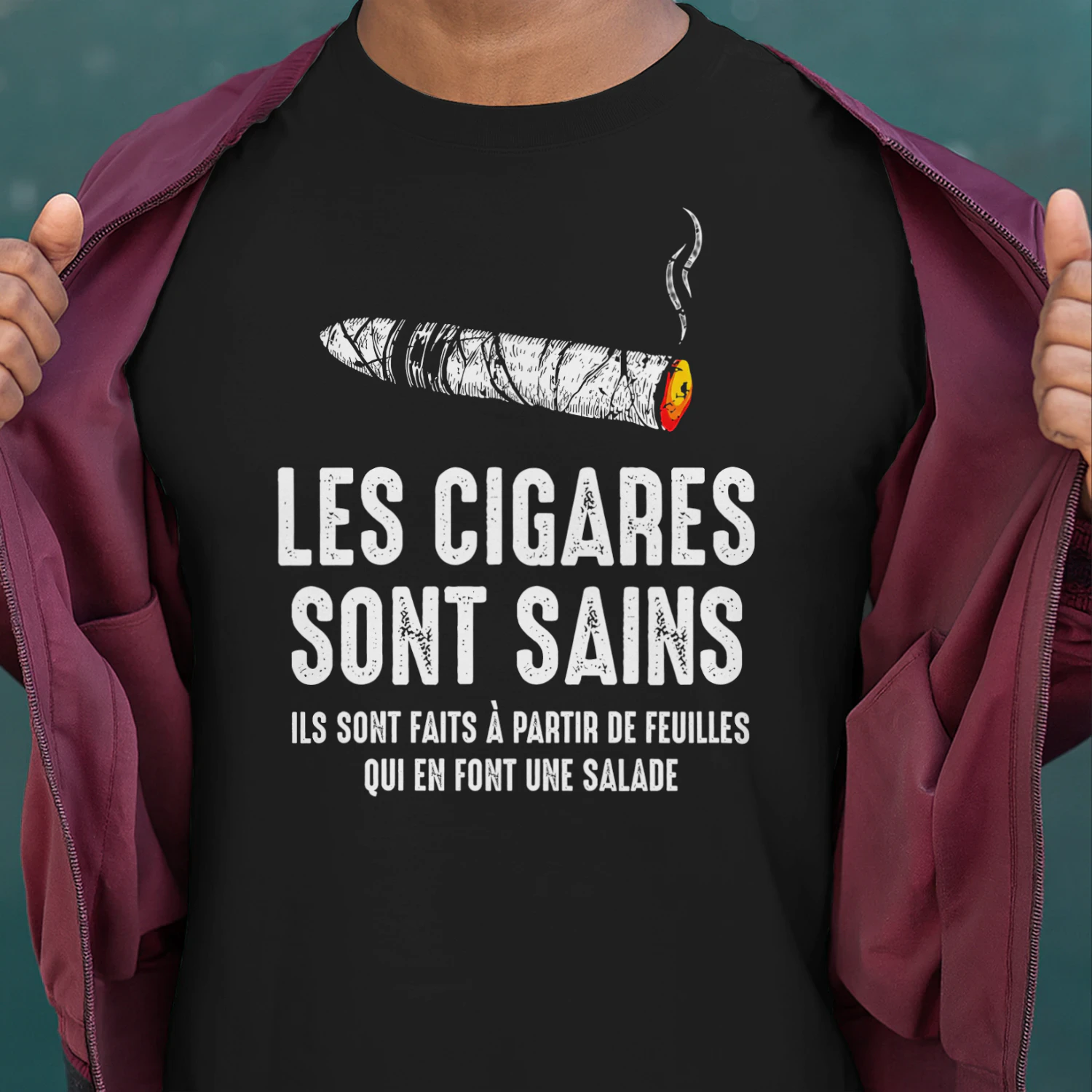 FR-LES CIGARES SONT SAINS