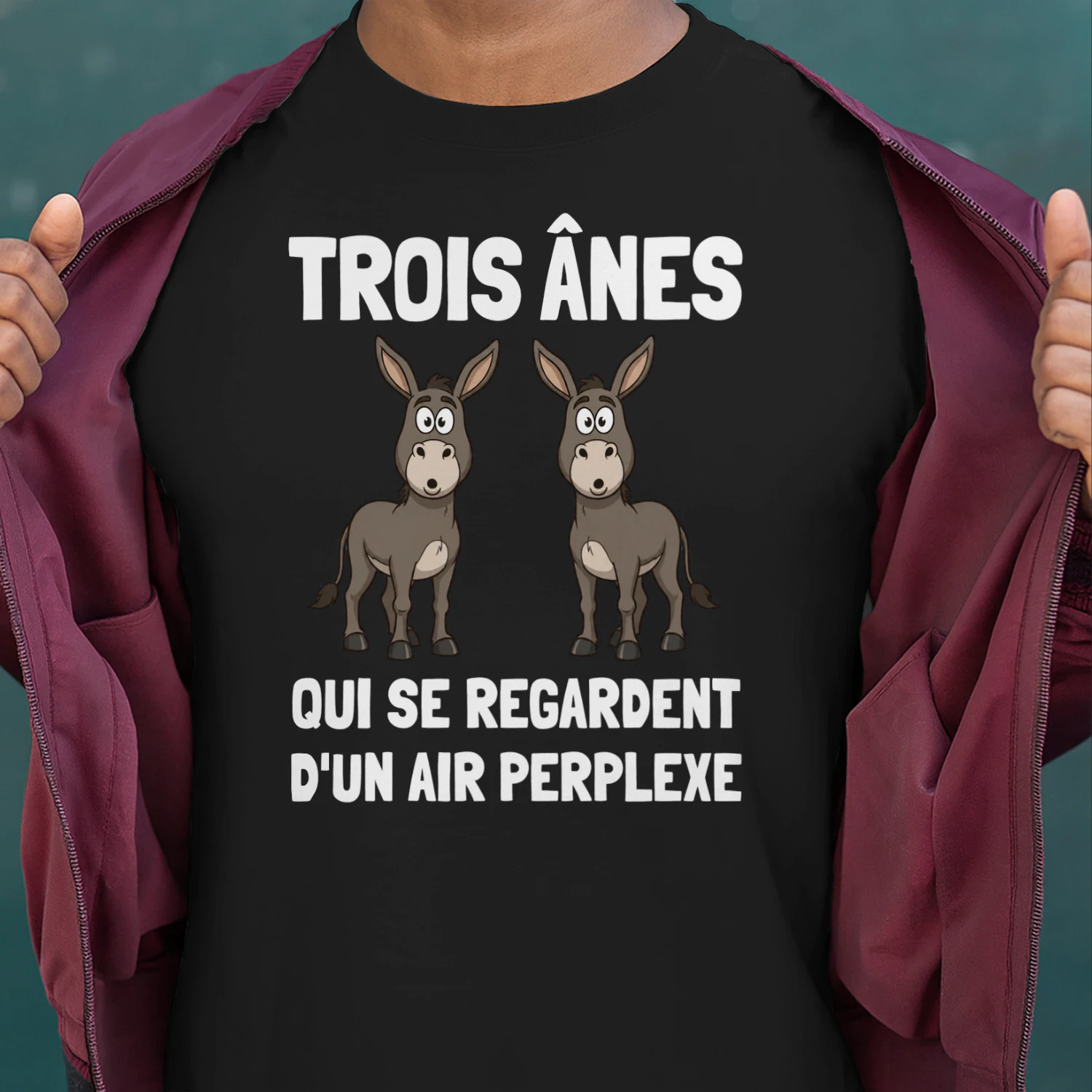 FR-Three donkeys looking at each other in confusion