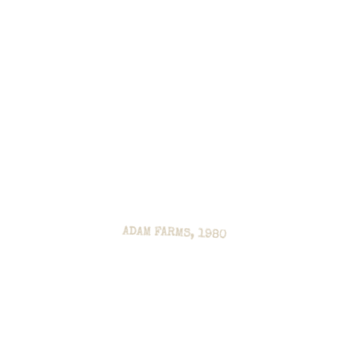 Product personalized Image