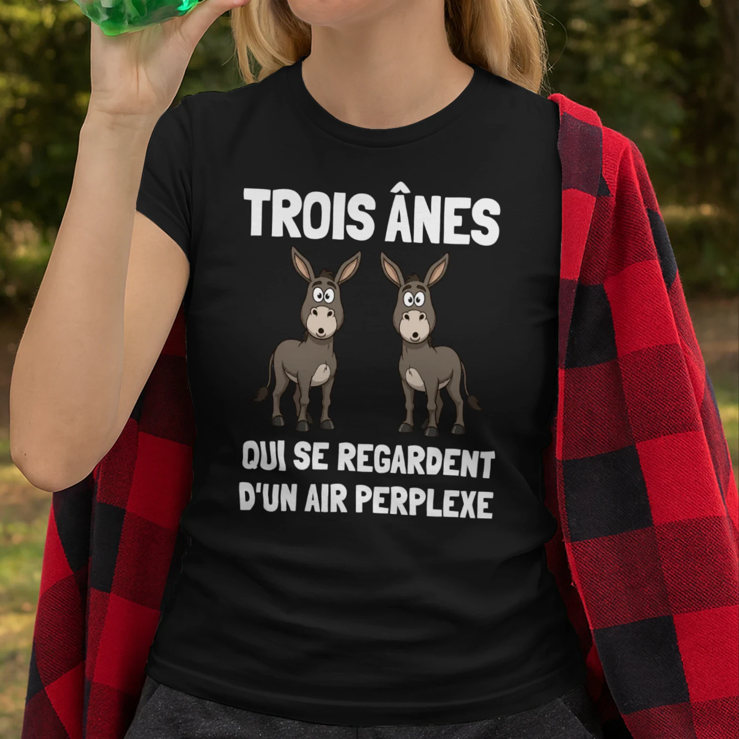 FR-Three donkeys looking at each other in confusion