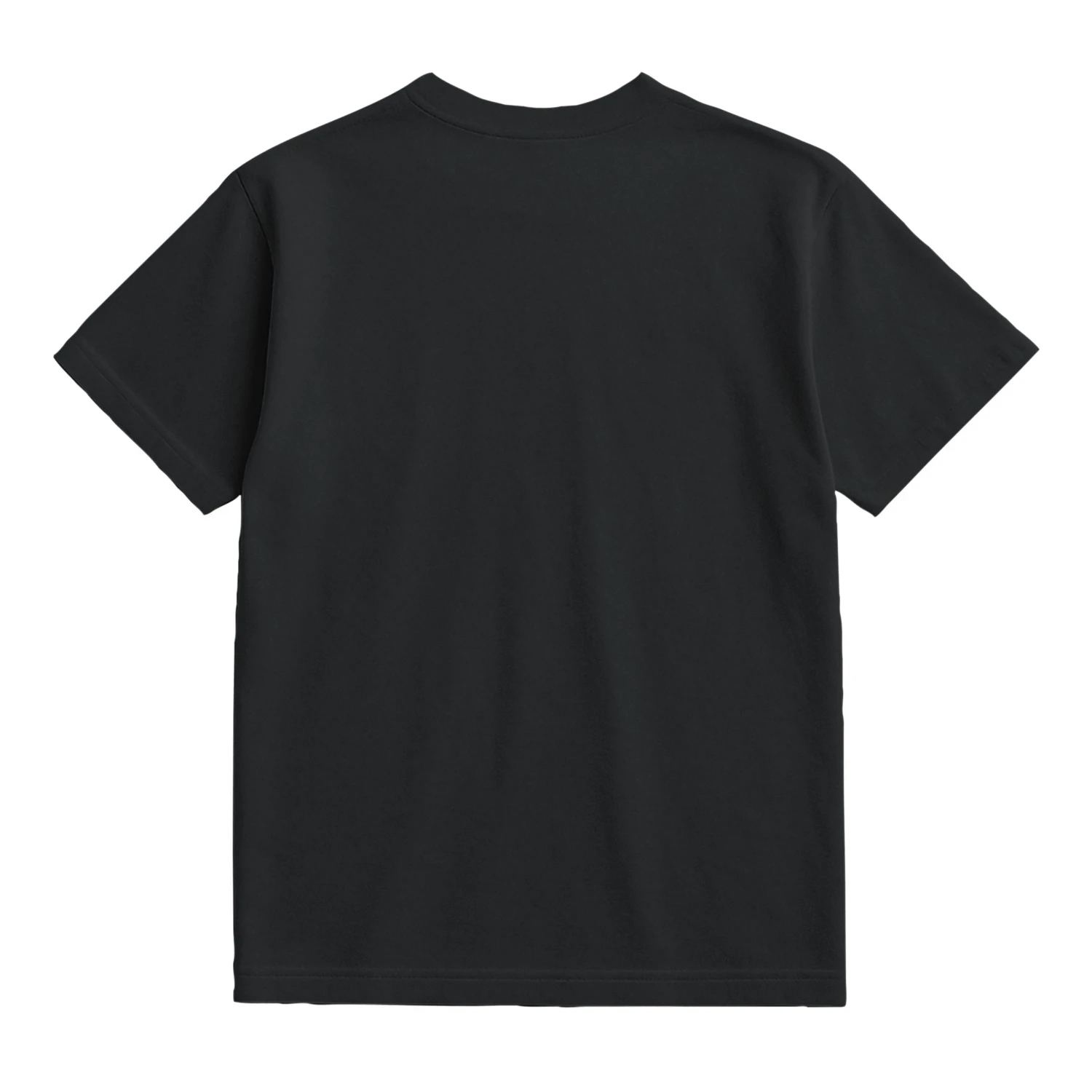 Comfort Colors® 1717 Vintage Raccoon "Jimothy" Graphic Tee