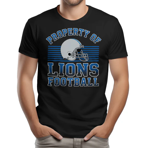 Fan Detroit Football 