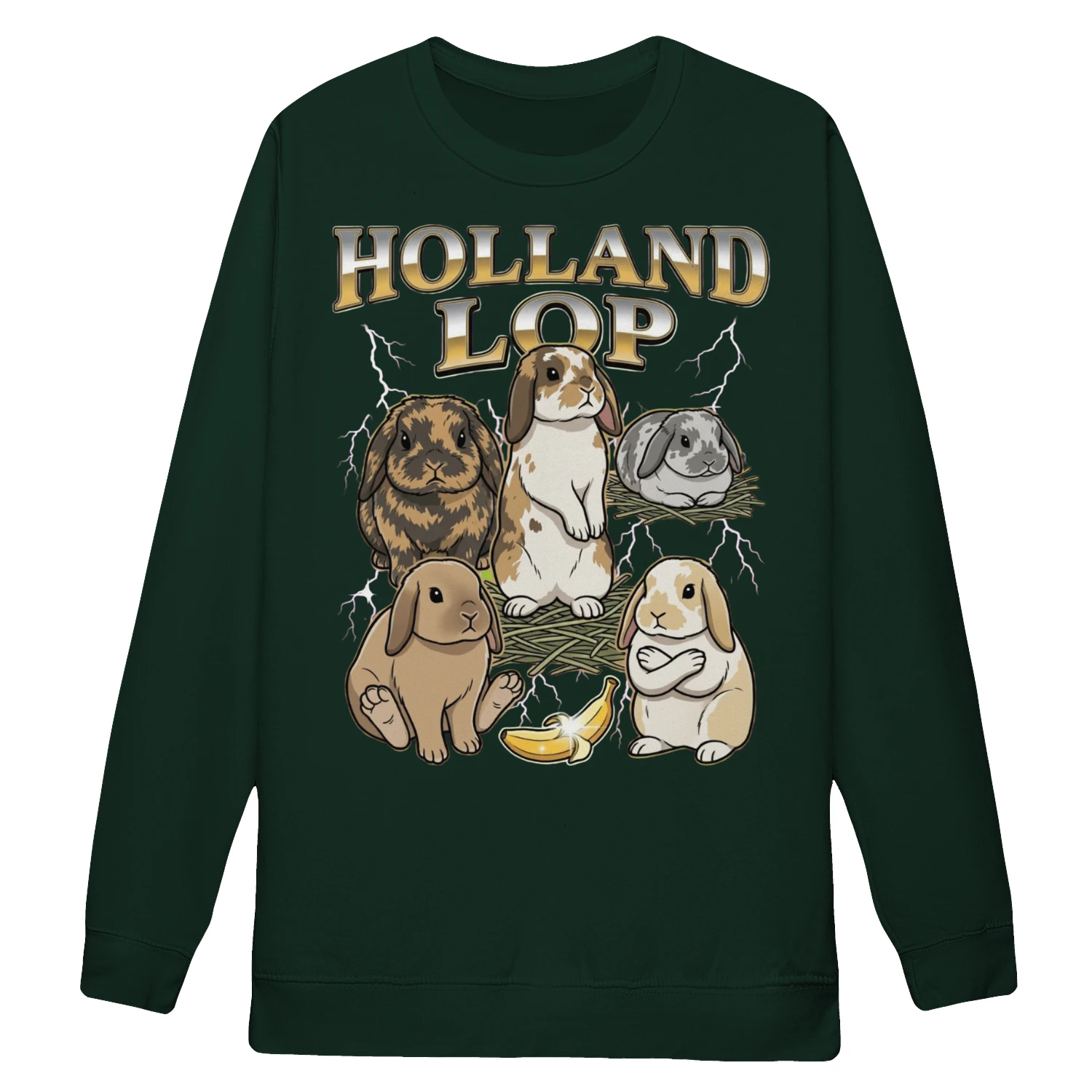 Holland Lop